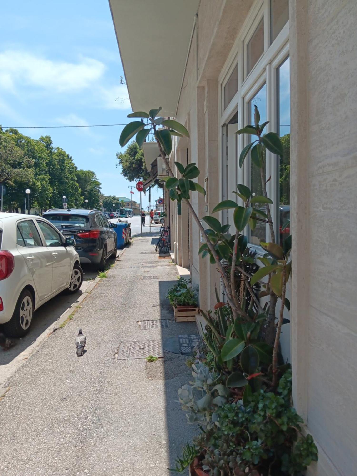 Sea Side Studio Viareggio Exterior photo